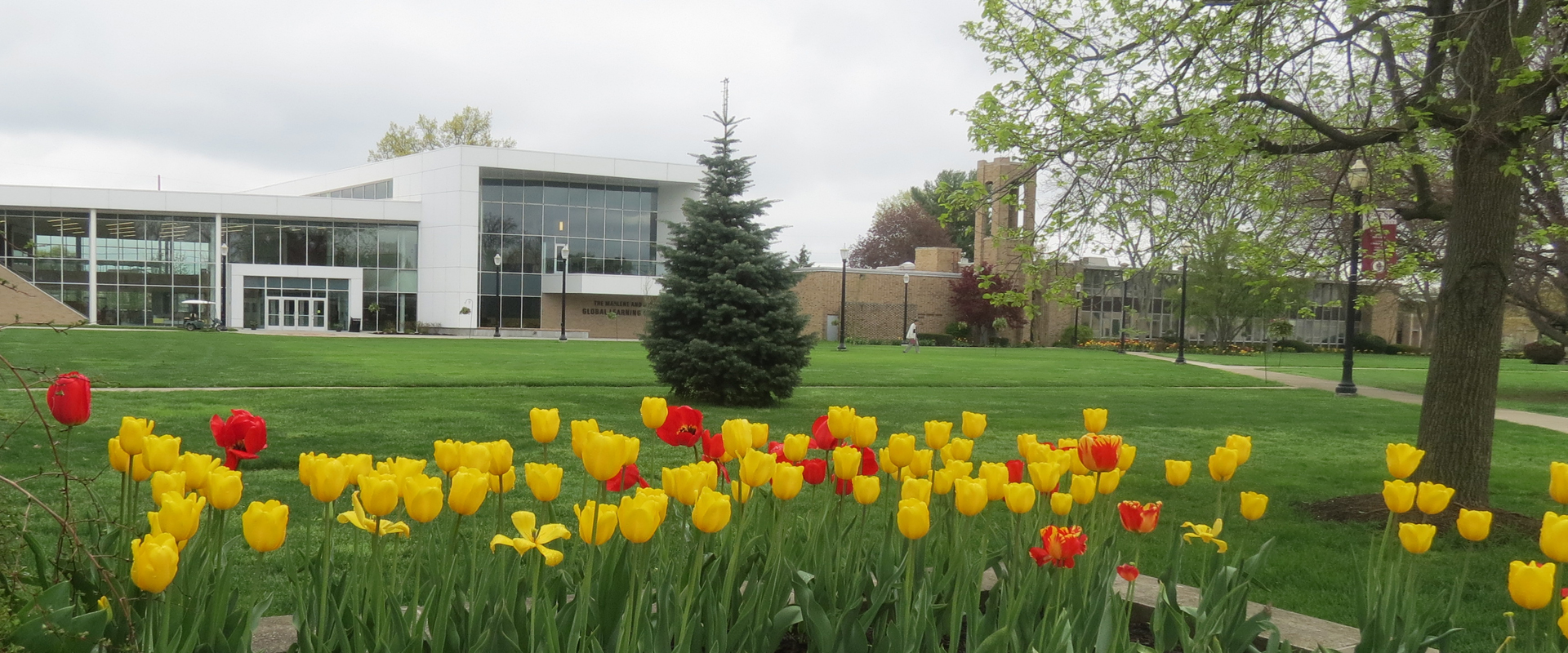 Walsh University Campus