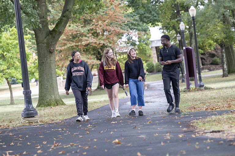 Four students walk together along a tree-lined campus path in the fall.