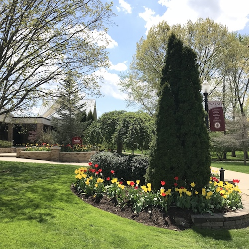 image of the Walsh Campus in Spring